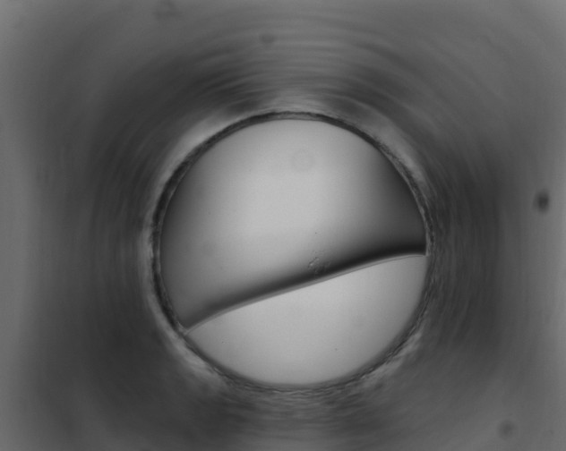 X0000102491133200808081050