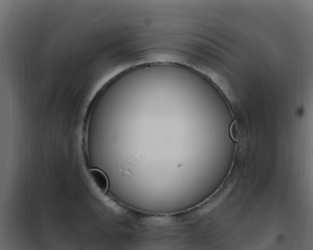 X0000102491134200808081050