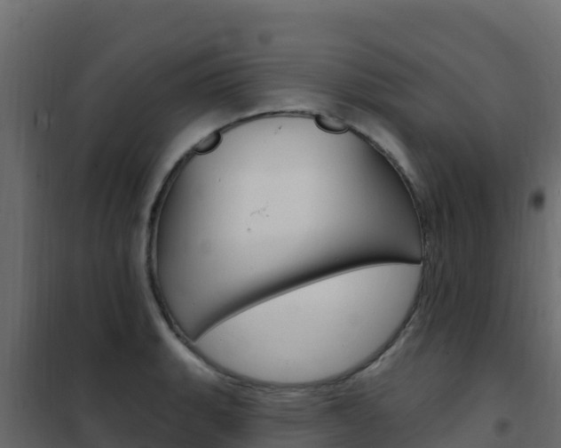 X0000102491135200808081050