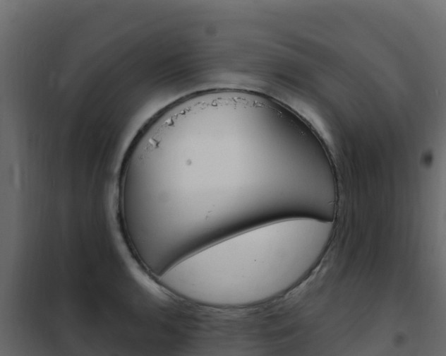 X0000102491136200808081050