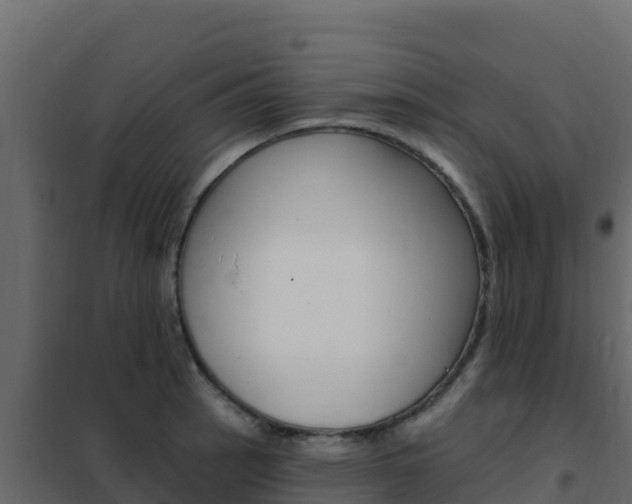 X0000102491137200808081050
