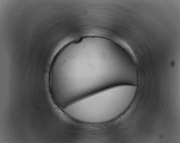 X0000102491138200808081050