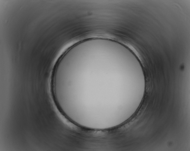 X0000102491139200808081050
