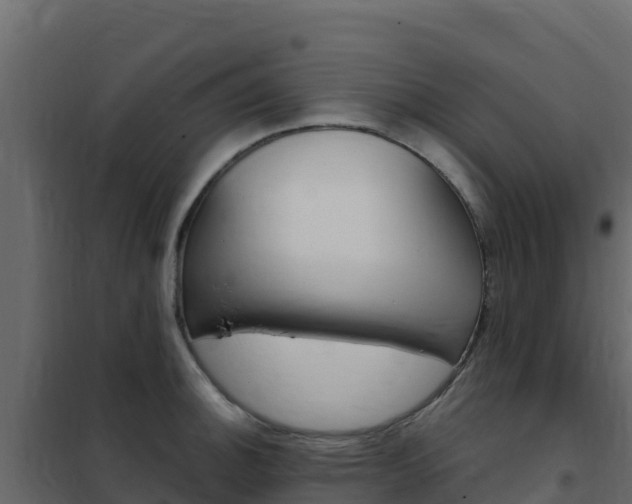 X0000102491140200808081050