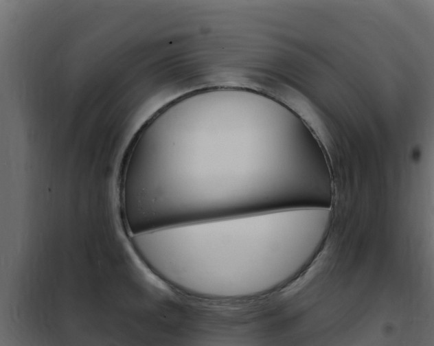 X0000102491141200808081050
