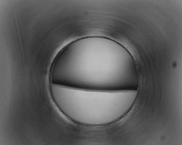X0000102491142200808081050