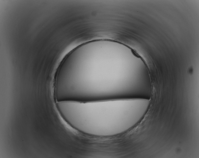 X0000102491143200808081050