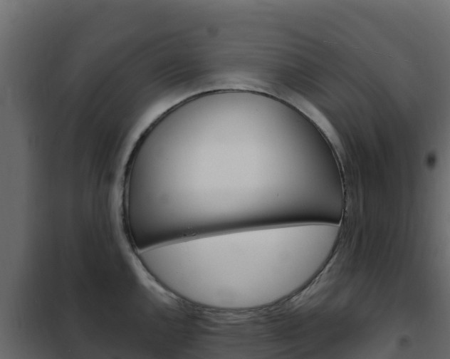 X0000102491144200808081050