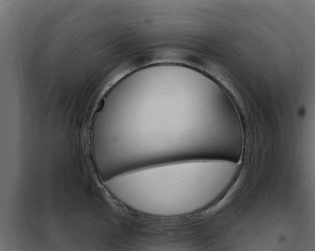 X0000102491145200808081050