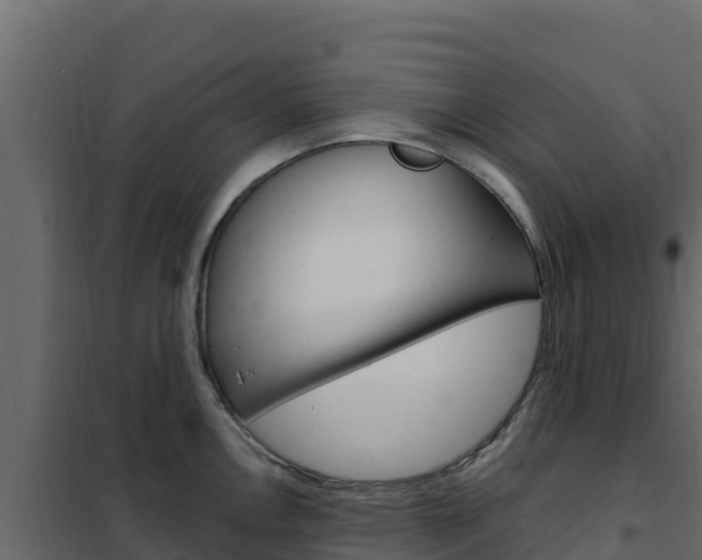 X0000102491146200808081050