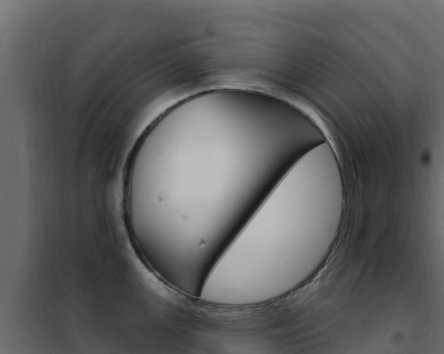 X0000102491147200808081050