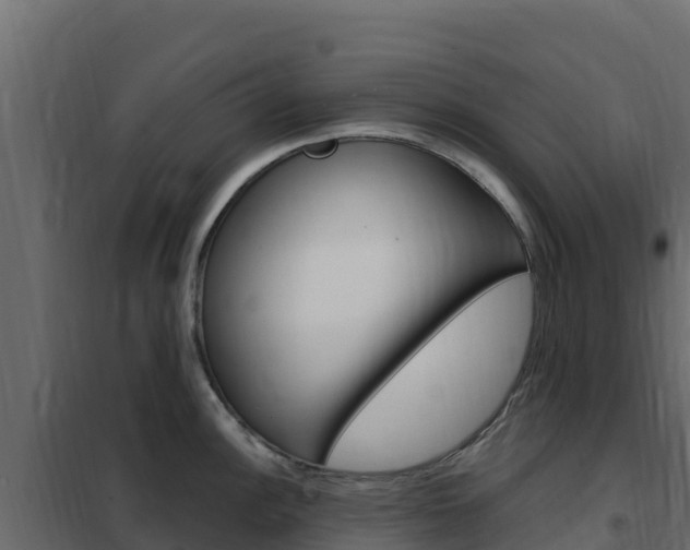 X0000102491148200808081050