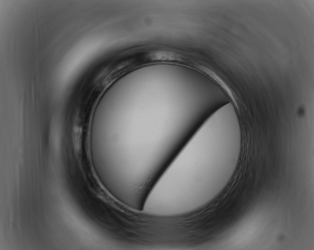 X0000102491151200808081050