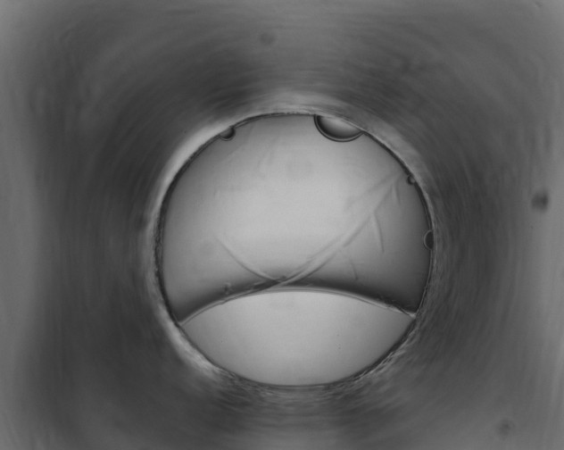 X0000102491152200808081050