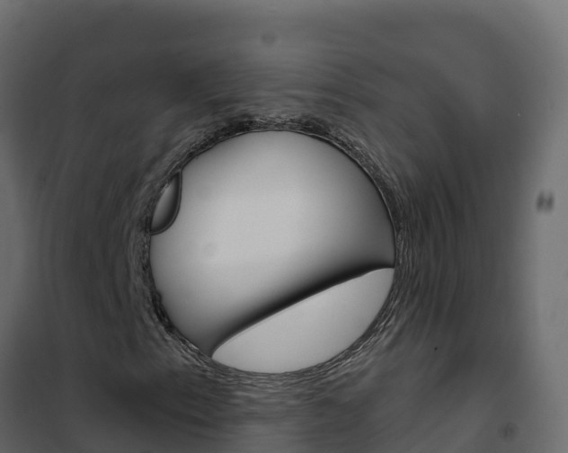 X0000102491153200808081049