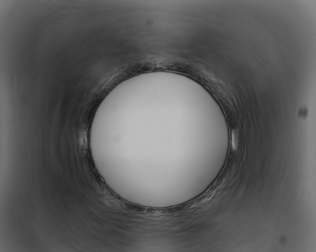 X0000102491155200808081049