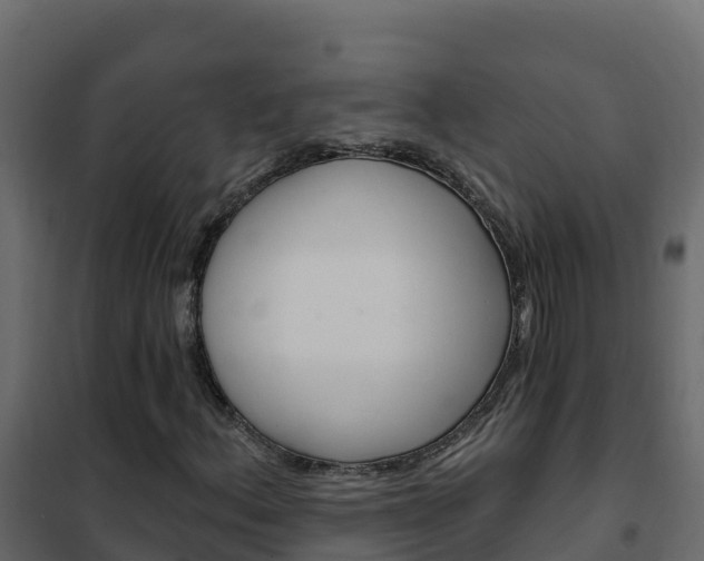 X0000102491156200808081049