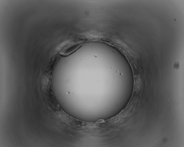 X0000102491157200808081049