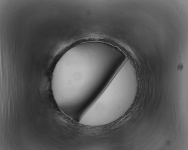 X0000102491160200808081049