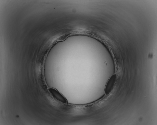 X0000102491161200808081049