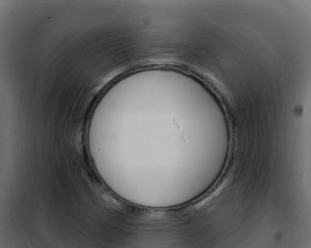 X0000102491162200808081049