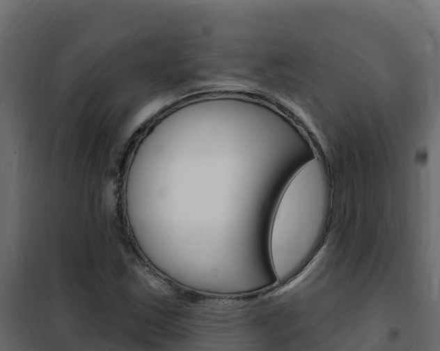 X0000102491163200808081049
