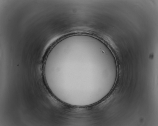 X0000102491164200808081049