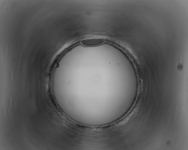 X0000102491165200808081049