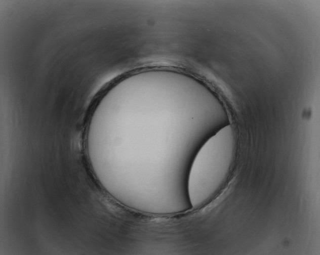 X0000102491166200808081049