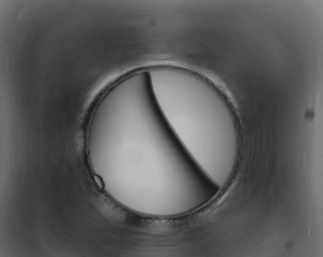 X0000102491167200808081049