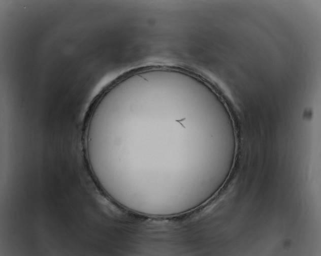 X0000102491168200808081049