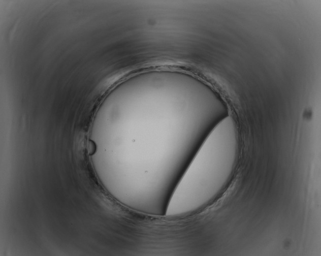 X0000102491169200808081049