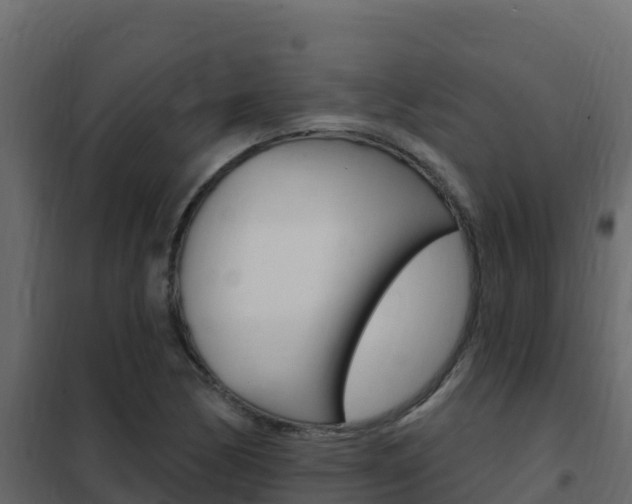 X0000102491170200808081049