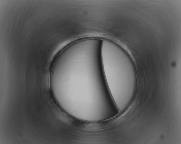 X0000102491171200808081049