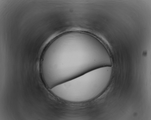 X0000102491173200808081049