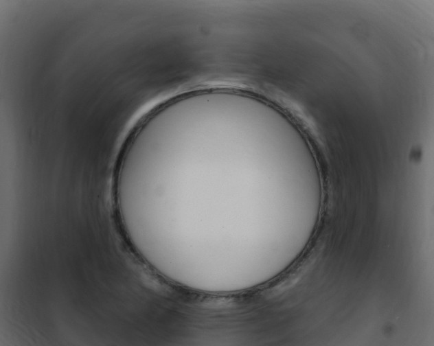 X0000102491174200808081049