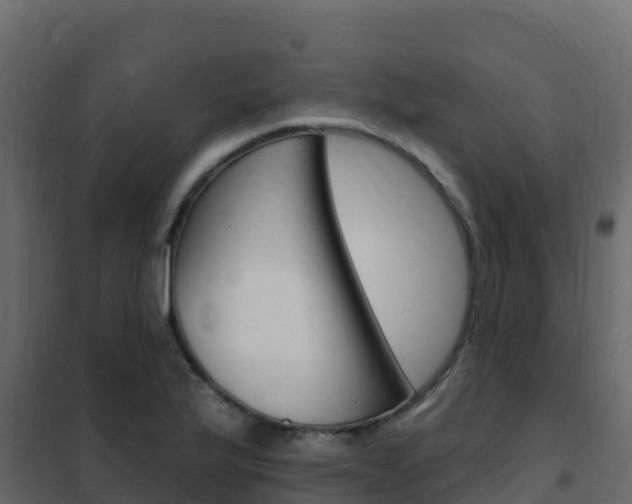 X0000102491175200808081049