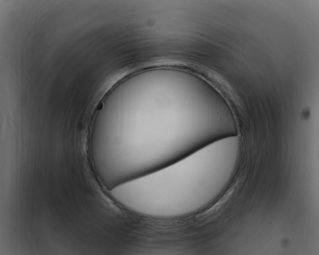 X0000102491177200808081049