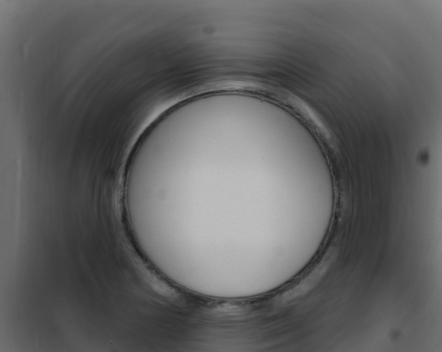 X0000102491178200808081049