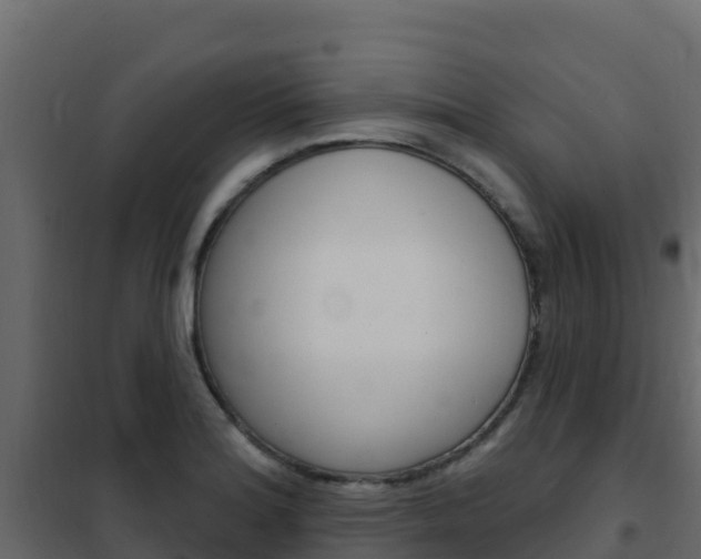 X0000102491180200808081049