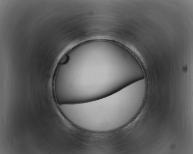 X0000102491181200808081049