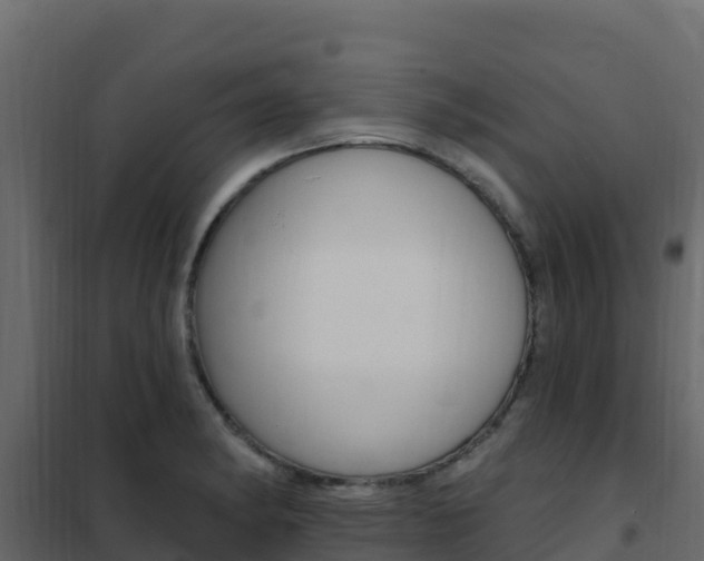 X0000102491182200808081049
