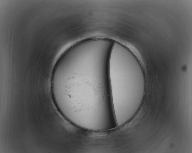 X0000102491183200808081049