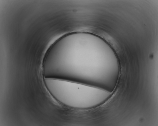 X0000102491184200808081049