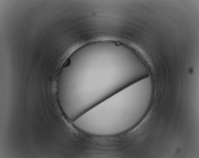 X0000102491185200808081049