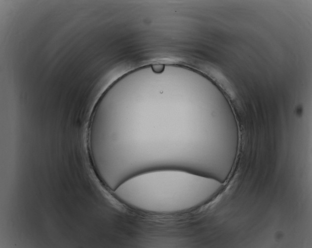 X0000102491186200808081049