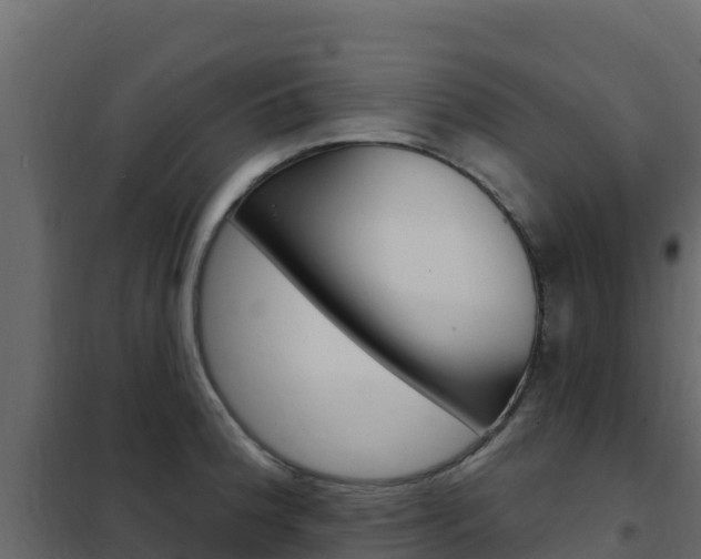 X0000102491188200808081049