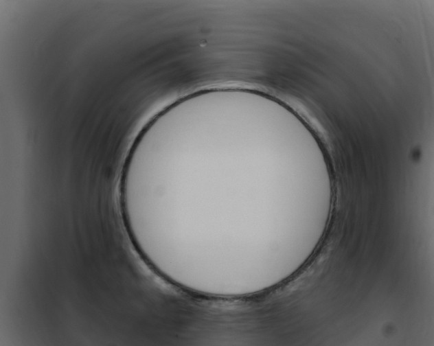 X0000102491189200808081049