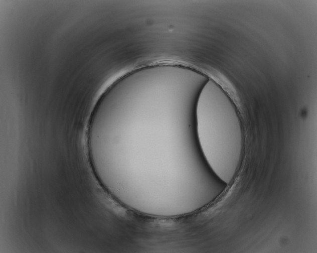 X0000102491190200808081049