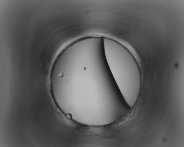 X0000102491191200808081049